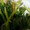 かおるっこら's cooksnap of when they made 【山うどレシピ・葉】山うどと豚肉の塩炒め.