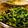 saki1010's cooksnap of when they made 旨い! ほうれん草とワカメのお浸し.