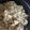 stitch_nao's cooksnap of when they made 人参の入った、たけのこごはん.