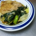 ☆ありか358☆'s cooksnap of when they made ネギの青い所炒め。おつまみに.