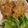 にゃんわんこ隊長's cooksnap of when they made 子供も大好き☆さんまのハンバーグ.