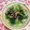 ぽぽきゅ's cooksnap of when they made 小松菜のマグロフレーク和え.