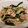 ◎きん◎'s cooksnap of when they made 法蓮草・ツナ・えのきの麺つゆバター炒め★.