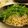 crea319's cooksnap of when they made 水菜としらすのペペロンチーノ.
