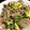 もんす。's cooksnap of when they made 豚肉と豆苗の炒め物.