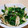 ねここfm's cooksnap of when they made 春づくし筍とワラビの中華炒め 簡単.