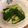 Mitsukiみつき's cooksnap of when they made 沢山食べちゃう！中華風きゅうりのお漬物★.