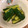 Mitsukiみつき's cooksnap of when they made 沢山食べちゃう！中華風きゅうりのお漬物★.