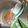 Yokchina's cooksnap of when they made 意外と知らない？豆乳の注ぎ方♡.