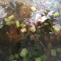 しずしずしずか's cooksnap of when they made 簡単！朝食に♪もずくとワカメのお味噌汁＊.