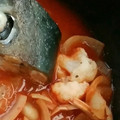 （＊あωや＊）'s cooksnap of when they made 鰤の頭のトマト煮.