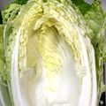 なーなちゃん's cooksnap of when they made 白菜がおいしく甘くなる方法。.
