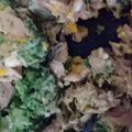 sakimama☆★'s cooksnap of when they made ツナ缶の油切り不要！ブロッコリーマヨ炒め.