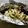 earth。's cooksnap of when they made 鮭のホイル焼き.