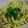 motherfox's cooksnap of when they made ヨーグルトカルボうどん.