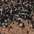 りーとぽん's cooksnap of when they made うるち米の土鍋炊きお赤飯.