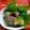 オーゼキ's cooksnap of when they made ぶりとアボカドのサラダ仕立て.