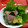 オーゼキ's cooksnap of when they made ぶりとアボカドのサラダ仕立て.