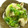 りさっち33's cooksnap of when they made かぶと牛肉のとろ～りあんかけ.