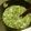 由芽15's cooksnap of when they made 生めかぶのからしマヨ和え.