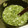 由芽15's cooksnap of when they made 生めかぶのからしマヨ和え.