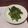 Amalka's cooksnap of when they made アスパラ炒め蒸し【常備菜】.