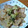 ★ナミリア☆'s cooksnap of when they made ☆★簡単！おいしい！大根のオイマヨ焼き★.