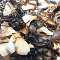 しずしずしずか's cooksnap of when they made チャチャッときのこの塩昆布ポン酢炒め.
