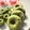 kotoem's cooksnap of when they made 宮城旬野菜もっちりグリーン焼きドーナツ.