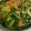 すもも♪♪'s cooksnap of when they made 豆腐の小松菜とひき肉あんかけ.