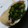 kanj3939's cooksnap of when they made ツナともやしとチーズの油揚げ包み焼き.
