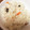 塩っち's cooksnap of when they made 白だしで簡単！きのこの炊き込みご飯.
