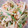 ちい19ゆ5's cooksnap of when they made 簡単 水菜とササミのピリ辛ゴママヨサラダ.