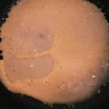 よしをりい's cooksnap of when they made 簡単 基本 クレープ生地.