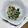 にゃんこのめ94's cooksnap of when they made もやしとニラナムル.