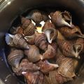 ちーきよ's cooksnap of when they made 【おすすめ】届かぬ味わひ…ばい貝…煮.