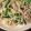 モーーさん's cooksnap of when they made 簡単ニラもやし炒め.