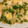 ursula1119's cooksnap of when they made ちゃっちゃと洋風♩たけのこチーズ焼き.
