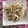 にゃんこ513's cooksnap of when they made 節約!たっぷりもやしのオイマヨ炒め.
