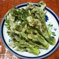 クレイプメートル's cooksnap of when they made 山菜の天ぷら.