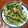 クレイプメートル's cooksnap of when they made 山菜の天ぷら.