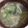 yoga_run's cooksnap of when they made オクラと豆苗のお味噌汁.