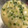 クック0KFDPJ☆'s cooksnap of when they made 激旨！即席！やみつき『ネギ塩ダレ』.