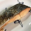 ハラペコ太郎's cooksnap of when they made ヘルシー！塩辛い鮭をマイルドに♪.