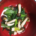 なぎちゃん♪'s cooksnap of when they made 小松菜としめじのお浸し.