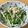 Kirin♬'s cooksnap of when they made 水菜とツナのサラダ.
