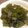 アンテの母さん's cooksnap of when they made 安くておいしい茎ワカメ（生ワカメ）煮.