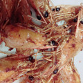 ｱｲﾊﾅ's cooksnap of when they made エビ頭のから揚げ.