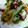 〜菊松〜's cooksnap of when they made お酢で簡単！たことトマトのマリネ.