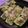 さるちゃんばなな's cooksnap of when they made 夏野菜・ズッキーニの舟形焼き.